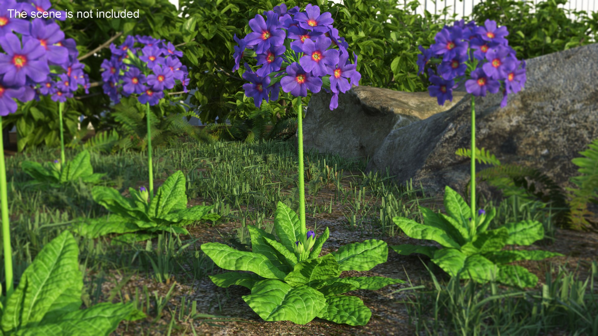 Purple Flowering Plants Collection 2 3D model https://p.turbosquid.com/ts-thumb/9t/E2FpeO/97/purplefloweringplantscollection2c4dmodel014/jpg/1698092458/1920x1080/fit_q87/68d33f50a2f7933b93a61b84393c5b09635506ea/purplefloweringplantscollection2c4dmodel014.jpg