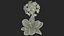 Purple Flowering Plants Collection 2