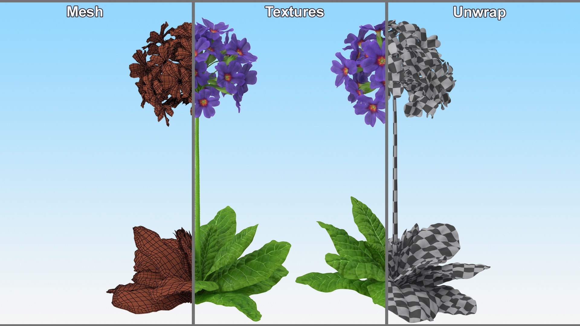 Purple Flowering Plants Collection 2 3D model https://p.turbosquid.com/ts-thumb/9t/E2FpeO/SJ/purplefloweringplantscollection2c4dmodel018/jpg/1698092476/1920x1080/fit_q87/3462e7c8efbffb65d529418e67868f5b3915b7f0/purplefloweringplantscollection2c4dmodel018.jpg