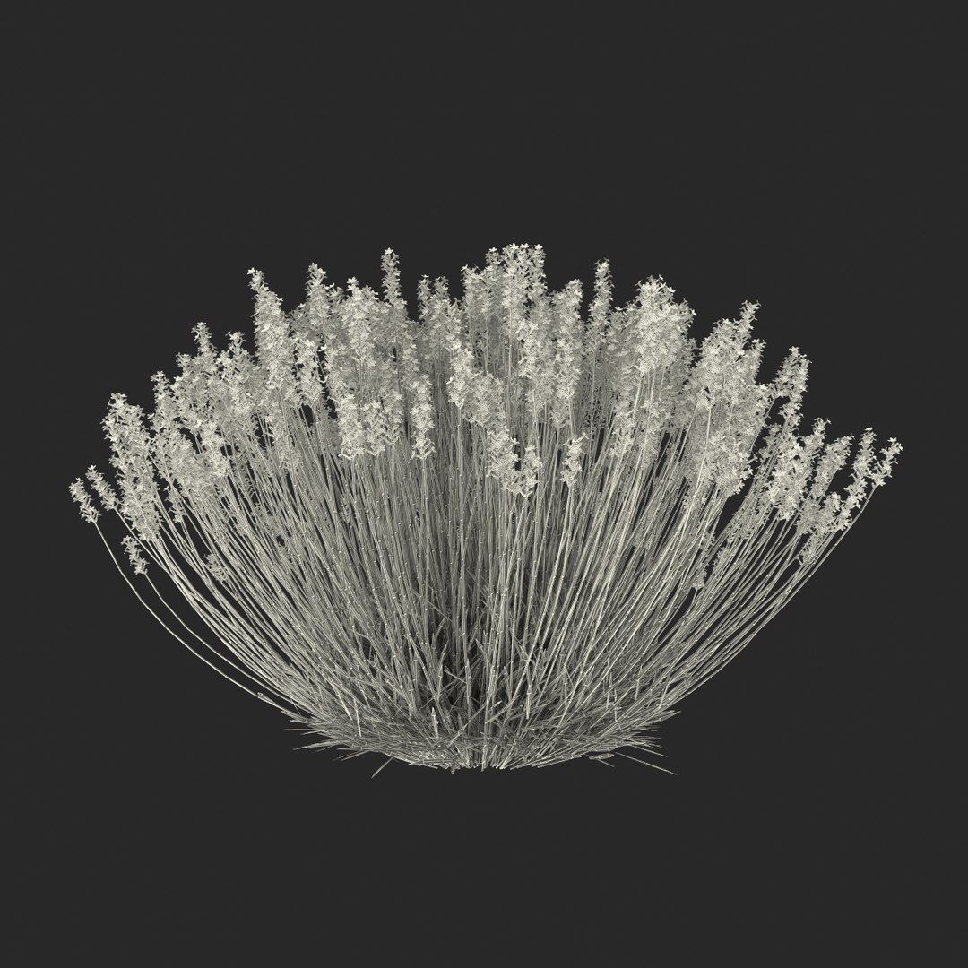 Purple Flowering Plants Collection 2 3D model https://p.turbosquid.com/ts-thumb/9t/E2FpeO/Vs/purplefloweringplantscollection2c4dmodel040/jpg/1698092576/1920x1080/fit_q87/77b2a33ef383018f88c9bfe7df1a7057f1e6d833/purplefloweringplantscollection2c4dmodel040.jpg