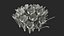 Purple Flowering Plants Collection 2