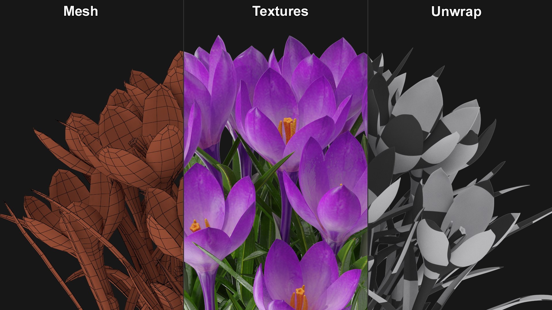 Purple Flowering Plants Collection 2 3D model https://p.turbosquid.com/ts-thumb/9t/E2FpeO/eH/purplefloweringplantscollection2c4dmodel026/jpg/1698092513/1920x1080/fit_q87/8a6a51a9843e6464b3819734fb5f14c8d44c7a14/purplefloweringplantscollection2c4dmodel026.jpg