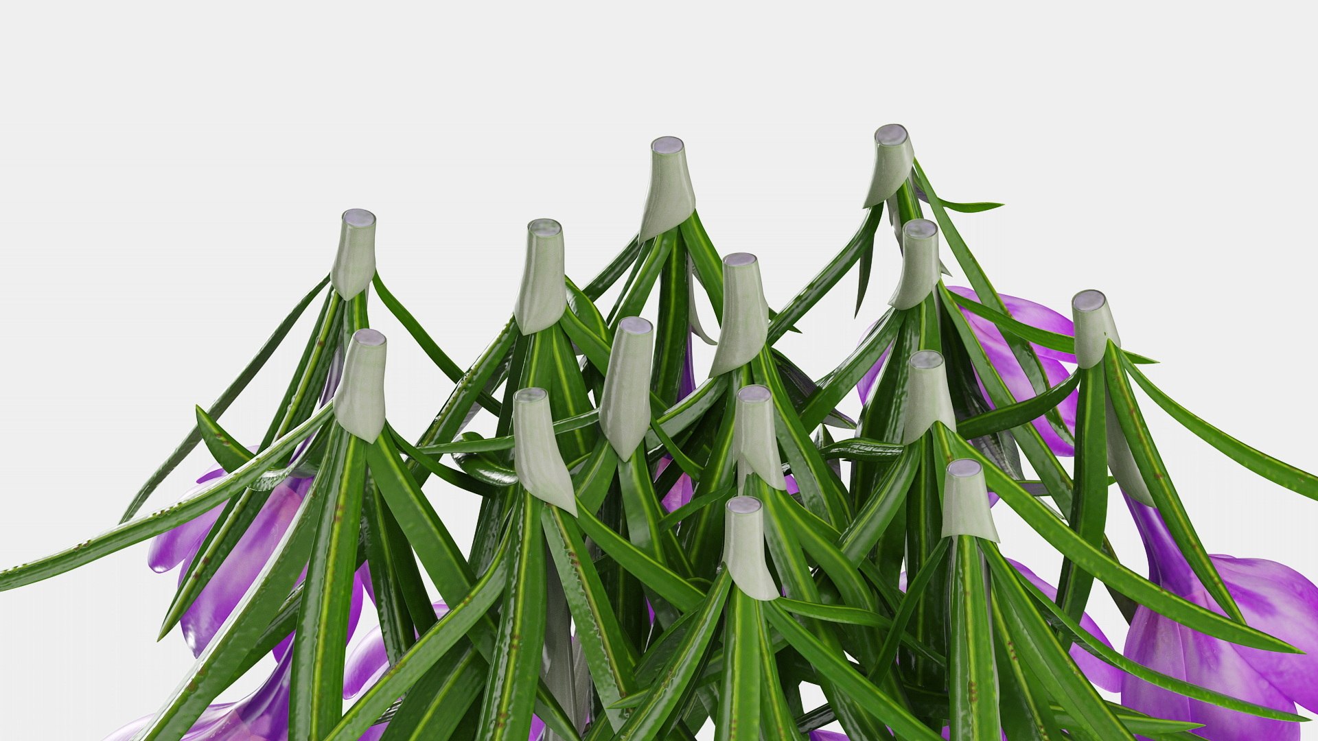 Purple Flowering Plants Collection 2 3D model https://p.turbosquid.com/ts-thumb/9t/E2FpeO/rQ/purplefloweringplantscollection2c4dmodel029/jpg/1698092527/1920x1080/fit_q87/9427b4e8deecb7dda15e27bbe438697b9ca154bd/purplefloweringplantscollection2c4dmodel029.jpg