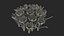 Purple Flowering Plants Collection 2