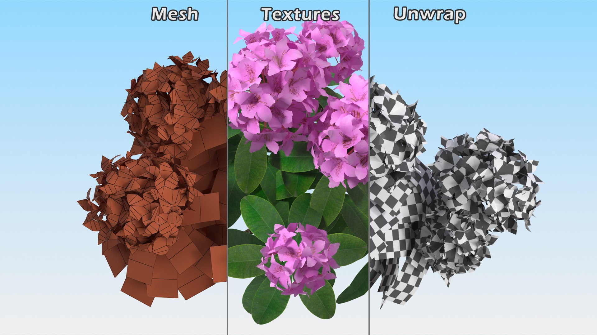 Purple Flowering Plants Collection 2 3D model https://p.turbosquid.com/ts-thumb/9t/E2FpeO/yA/purplefloweringplantscollection2c4dmodel006/jpg/1698092421/1920x1080/fit_q87/f910b99314668ff1f217a6906b8120464bc1093e/purplefloweringplantscollection2c4dmodel006.jpg