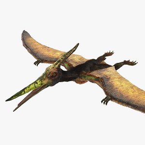 3D pteranodon flying carnivorous reptile