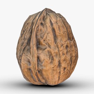 Walnut Low Poly 3D model