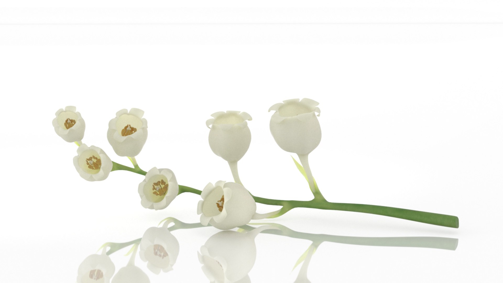 3D Lilies of the valley flower aroma model https://p.turbosquid.com/ts-thumb/9t/KOCILG/0S/5/jpg/1626863988/1920x1080/fit_q87/7f26f07f3181569e4f5e968d3bea8c592dd886c2/5.jpg