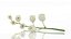 Lilies of the valley flower aroma decor