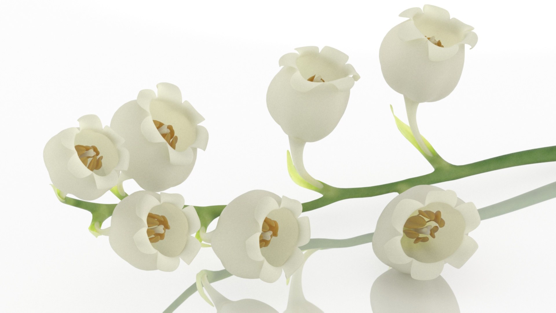 3D Lilies of the valley flower aroma model https://p.turbosquid.com/ts-thumb/9t/KOCILG/WC/3/jpg/1626863988/1920x1080/fit_q87/73b18da0a8430d9079ed09d7475687e4003c0438/3.jpg