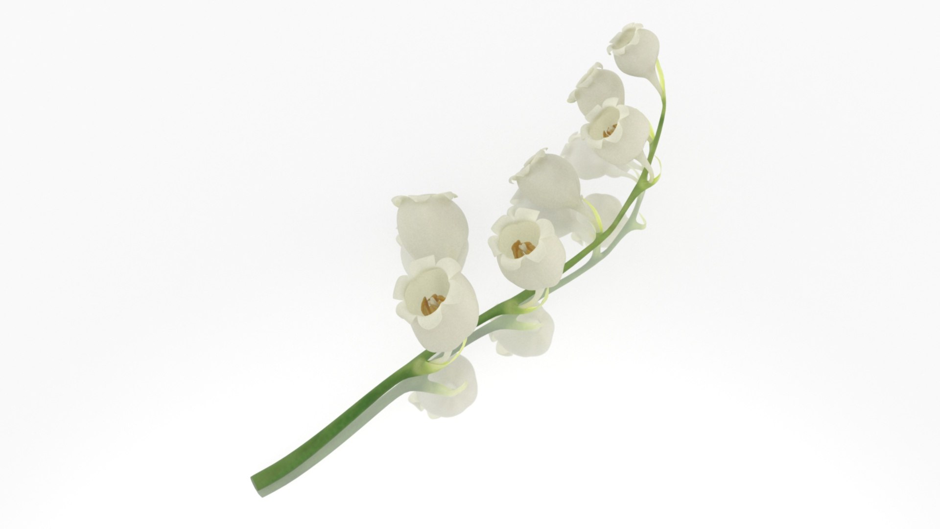 3D Lilies of the valley flower aroma model https://p.turbosquid.com/ts-thumb/9t/KOCILG/WZ/4/jpg/1626863988/1920x1080/fit_q87/bd91becb3af067f94f9cd7ec9b0533d7452482dc/4.jpg