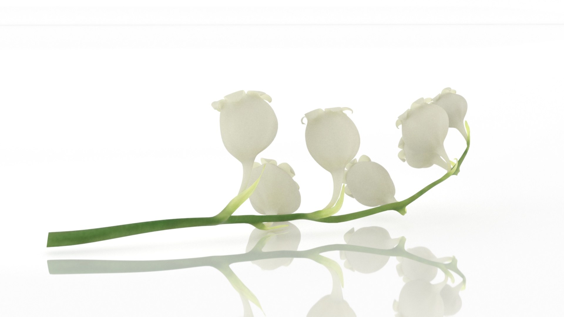 3D Lilies of the valley flower aroma model https://p.turbosquid.com/ts-thumb/9t/KOCILG/b9/2/jpg/1626863987/1920x1080/fit_q87/11ea0a4757d0f30081e07748b11c69af1a1002e8/2.jpg