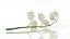 Lilies of the valley flower aroma decor