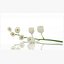 Lilies of the valley flower aroma decor