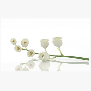 Lilies of the valley flower aroma decor