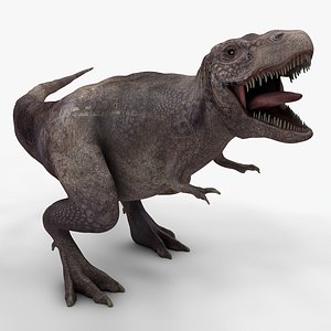 rex l971 animate model