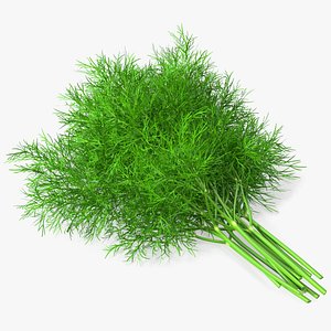 Dill Bunch 3D