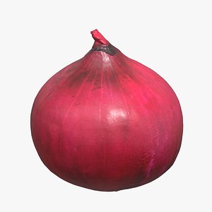 Onion Low Poly 3D