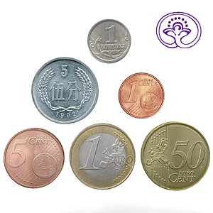 3d 6 coins model