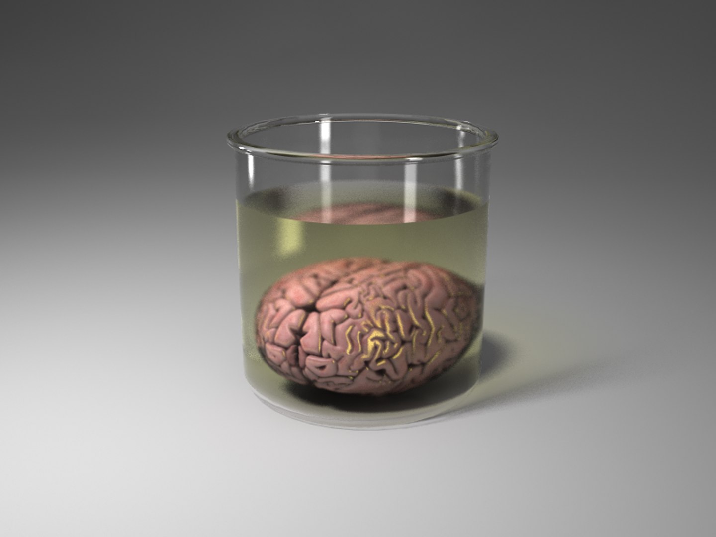 3d human brain model https://p.turbosquid.com/ts-thumb/9t/s8kv8S/JwU5Kmud/brain_jar_v002/png/1273872607/1920x1080/fit_q87/c3add8b3711d4901b7b62a6a634e8e2843d76f0b/brain_jar_v002.jpg