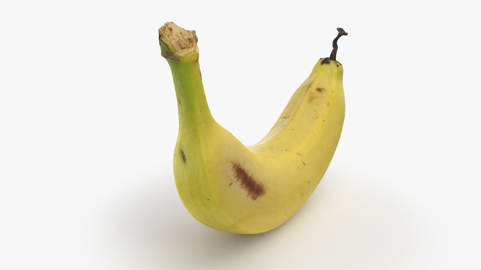 Banana with Twisty Dried Tip - 3D Scanned model https://p.turbosquid.com/ts-thumb/9u/JXUVKm/62/twistybanana_0006/png/1775917998/1920x1080/fit_q87/6df8506678a414f6023d4229c1ed0684c713bfd0/twistybanana_0006.jpg