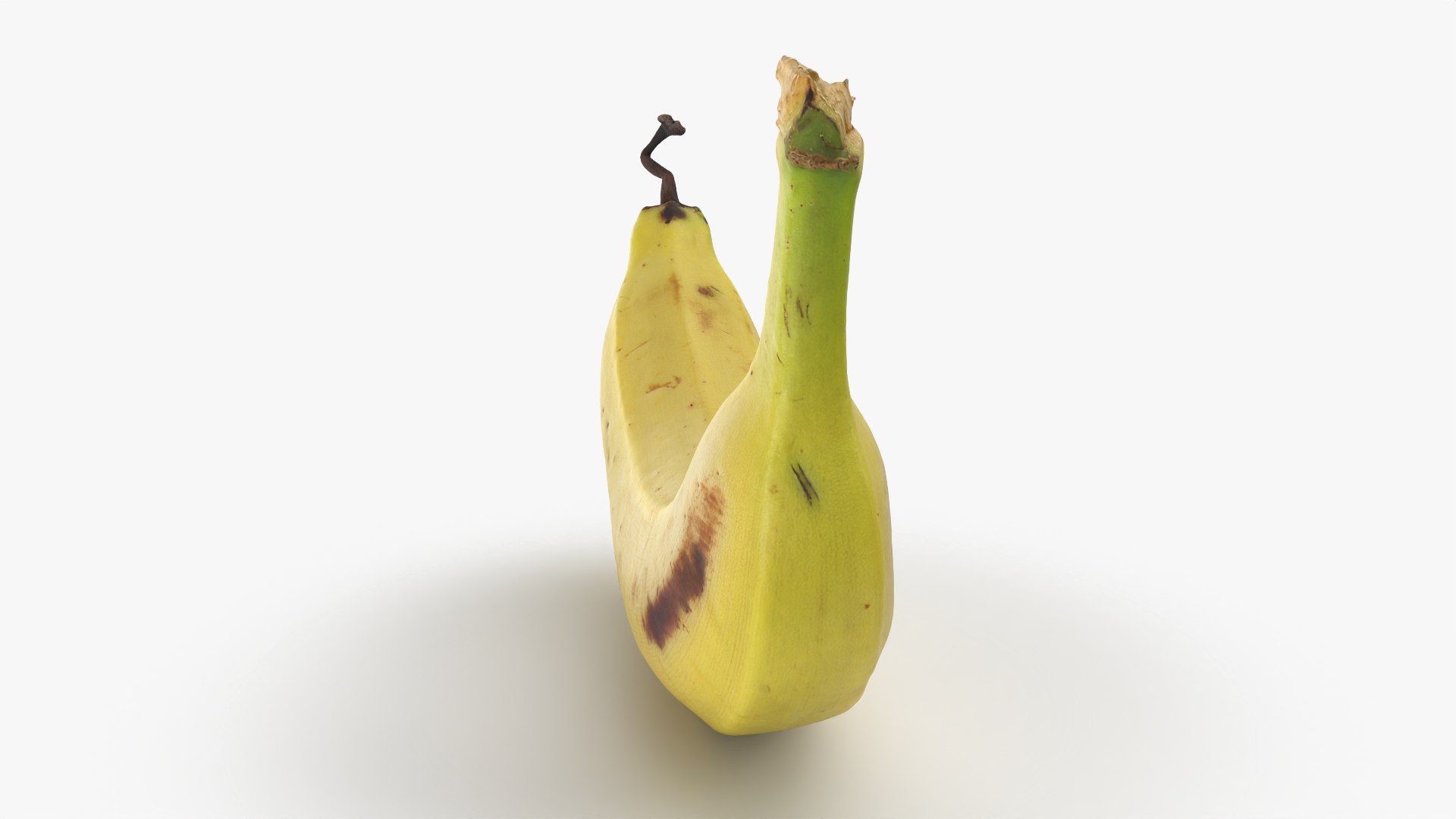 Banana with Twisty Dried Tip - 3D Scanned model https://p.turbosquid.com/ts-thumb/9u/JXUVKm/Gt/twistybanana_0009/png/1775918005/1920x1080/fit_q87/fac9fdc16c593bdba044cee71f33ba9751c2c965/twistybanana_0009.jpg