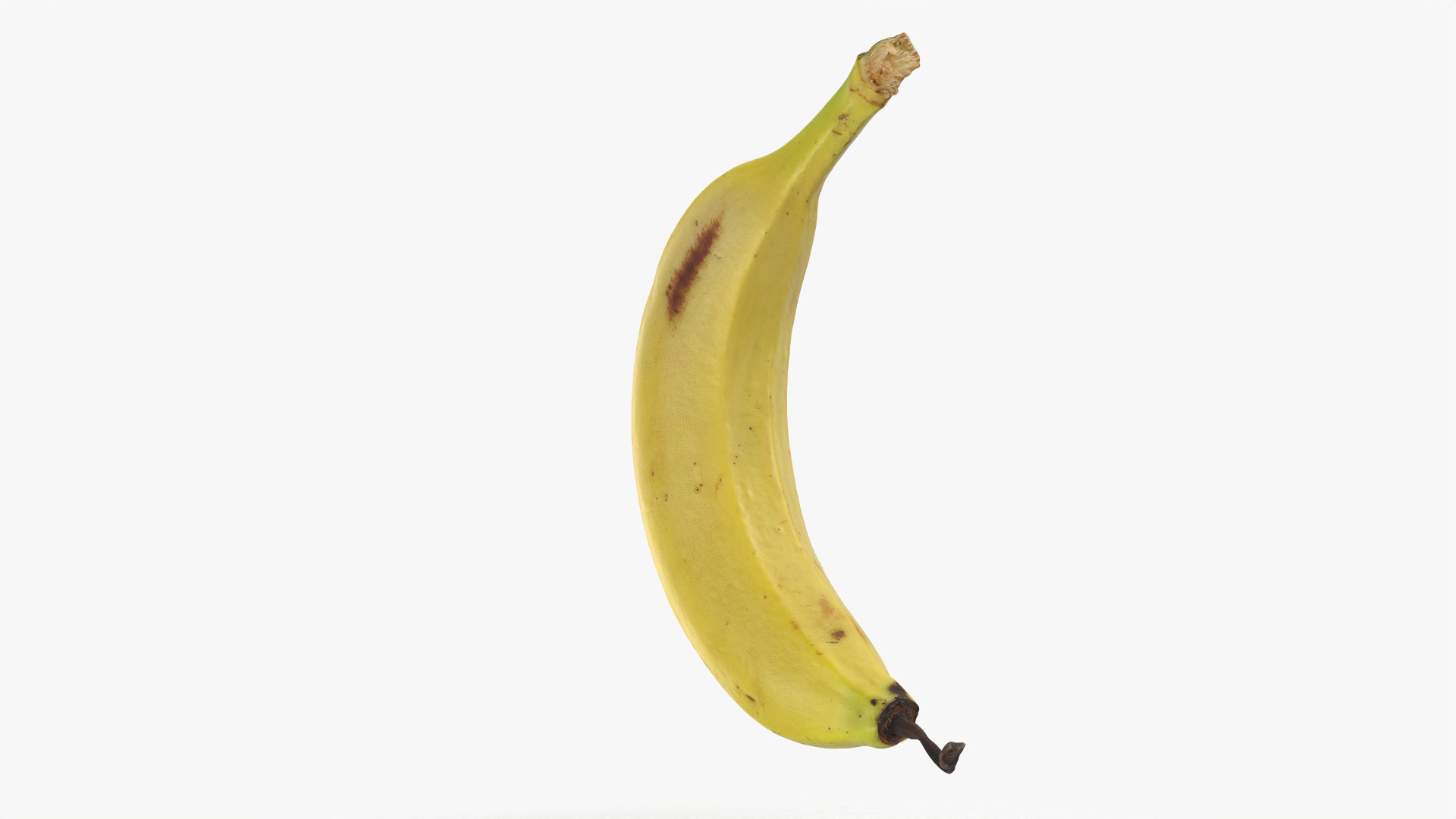 Banana with Twisty Dried Tip - 3D Scanned model https://p.turbosquid.com/ts-thumb/9u/JXUVKm/IC/twistybanana/png/1775918201/1920x1080/turn_fit_q99/34852ca32412239cf17d399f6786d5b77bf02162/twistybanana-1.jpg