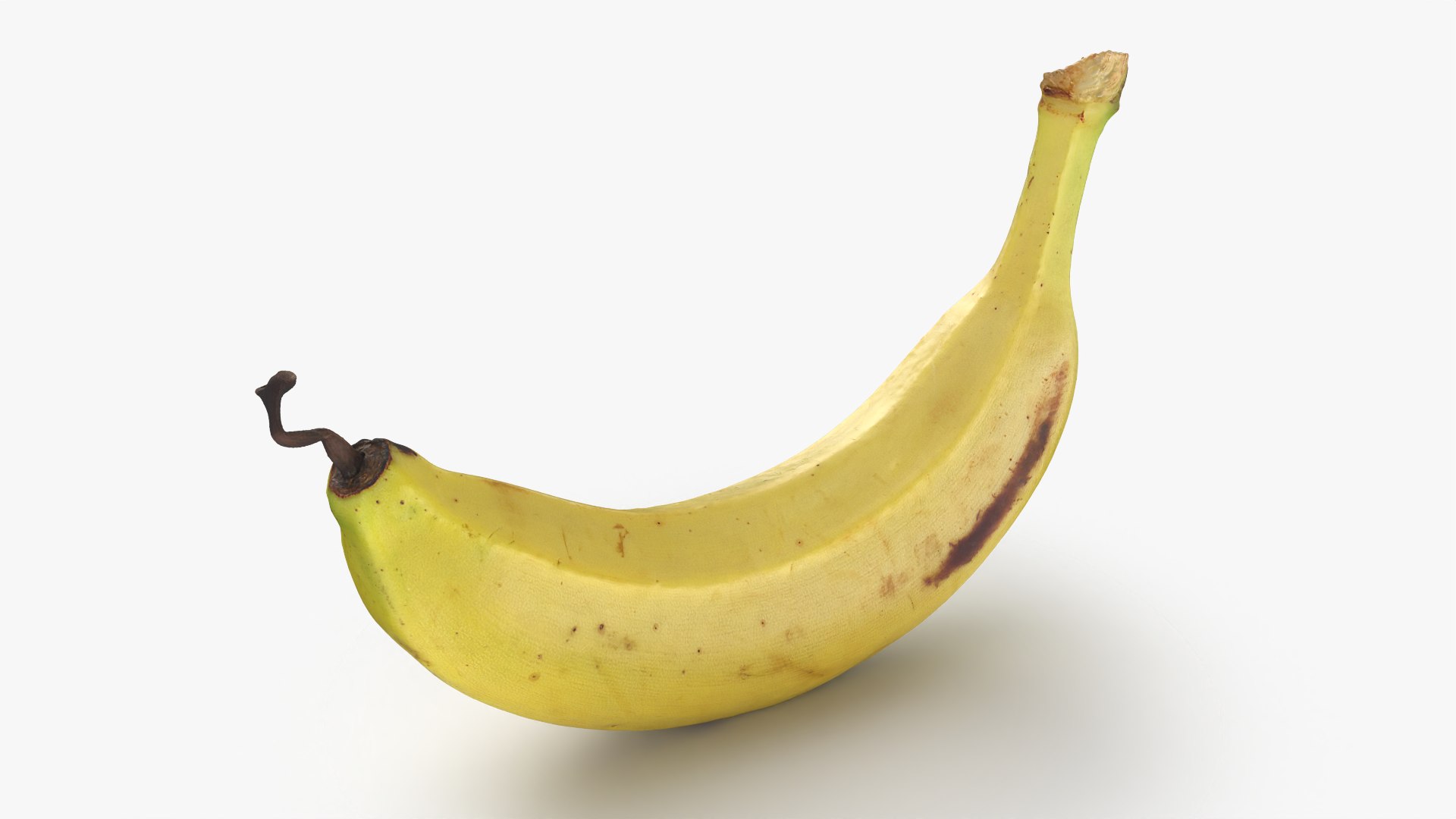 Banana with Twisty Dried Tip - 3D Scanned model https://p.turbosquid.com/ts-thumb/9u/JXUVKm/MB/twistybanana_0004/png/1775917996/1920x1080/fit_q87/14c66486a6e44f8c4f8e9fab5b58a8a9a1f8498e/twistybanana_0004.jpg