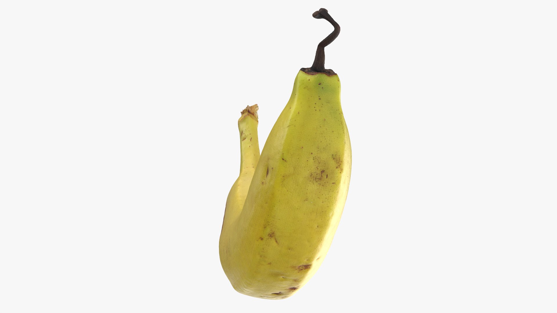 Banana with Twisty Dried Tip - 3D Scanned model https://p.turbosquid.com/ts-thumb/9u/JXUVKm/NO/twistybanana_0011/png/1775918006/1920x1080/fit_q87/a470ef0d3a0b793af25fd7b3cea412f5a60f2e7b/twistybanana_0011.jpg