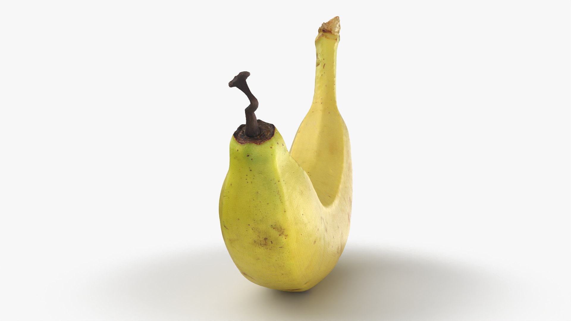 Banana with Twisty Dried Tip - 3D Scanned model https://p.turbosquid.com/ts-thumb/9u/JXUVKm/TC/twistybanana_0003/png/1775917989/1920x1080/fit_q87/93fcde94c247715f5297ac6873afd54e2a88b4b7/twistybanana_0003.jpg