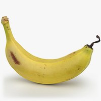 Banana with Twisty Dried Tip - 3D Scanned