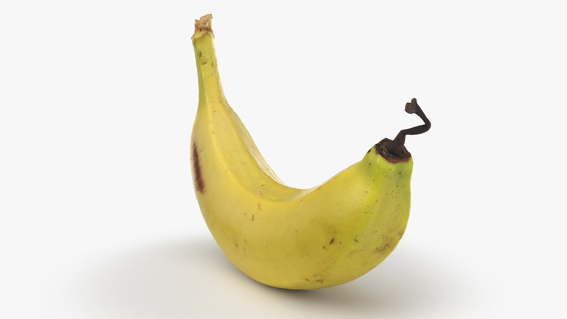 Banana with Twisty Dried Tip - 3D Scanned model https://p.turbosquid.com/ts-thumb/9u/JXUVKm/lr/twistybanana_0008/png/1775918002/1920x1080/fit_q87/0d4c47a55aa63b2df8ad7ae8b074dda6216f50d7/twistybanana_0008.jpg