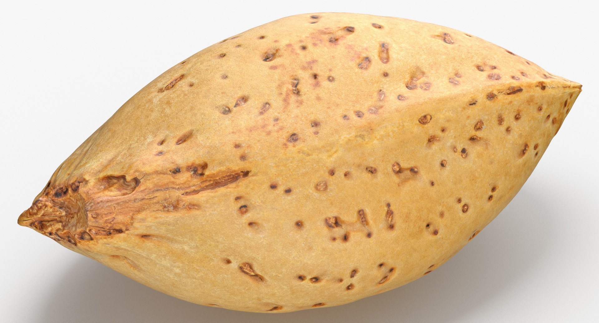 Almonds With Shell Collection 03 - 2 models model https://p.turbosquid.com/ts-thumb/9u/K5S2me/Ax/almond_with_shell_05_thumbnail_0004/jpg/1650380499/1920x1080/fit_q87/d28311858e6b71fe742d3fb8f7eda7df9257a134/almond_with_shell_05_thumbnail_0004.jpg