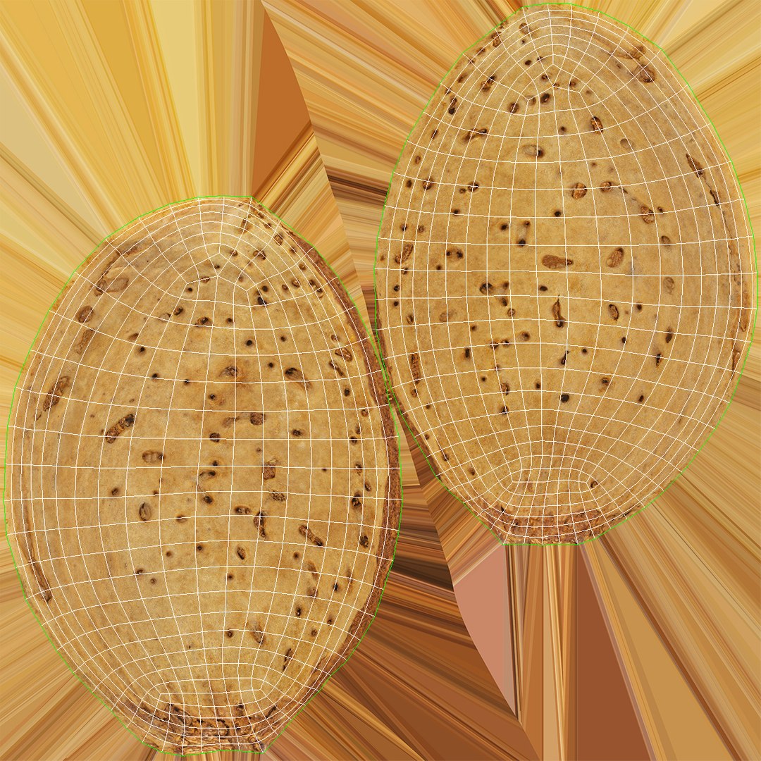Almonds With Shell Collection 03 - 2 models model https://p.turbosquid.com/ts-thumb/9u/K5S2me/kU/almond_with_shell_04_wuv/jpg/1650380772/1920x1080/fit_q87/0c5a5f6af9b552b1a069919919aed2c1088abf97/almond_with_shell_04_wuv.jpg