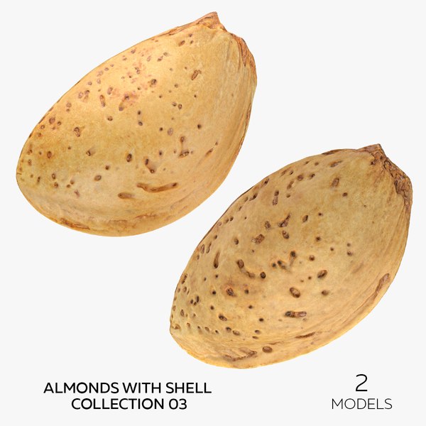 Almonds With Shell Collection 03 - 2 models model