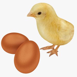 Egg and Chick Collection