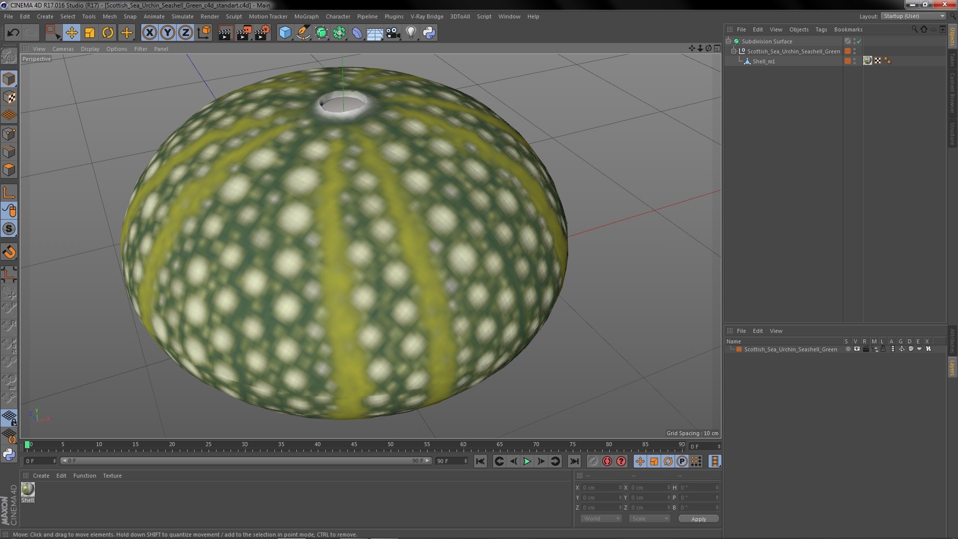 3D Scottish Sea Urchin Seashell Green model https://p.turbosquid.com/ts-thumb/9u/Q2oDm0/C1/scottishseaurchinseashellgreen3dmodel015/jpg/1692660482/1920x1080/fit_q87/e42bbc11928aeafa64d6a9f8d5640b277aaa7750/scottishseaurchinseashellgreen3dmodel015.jpg