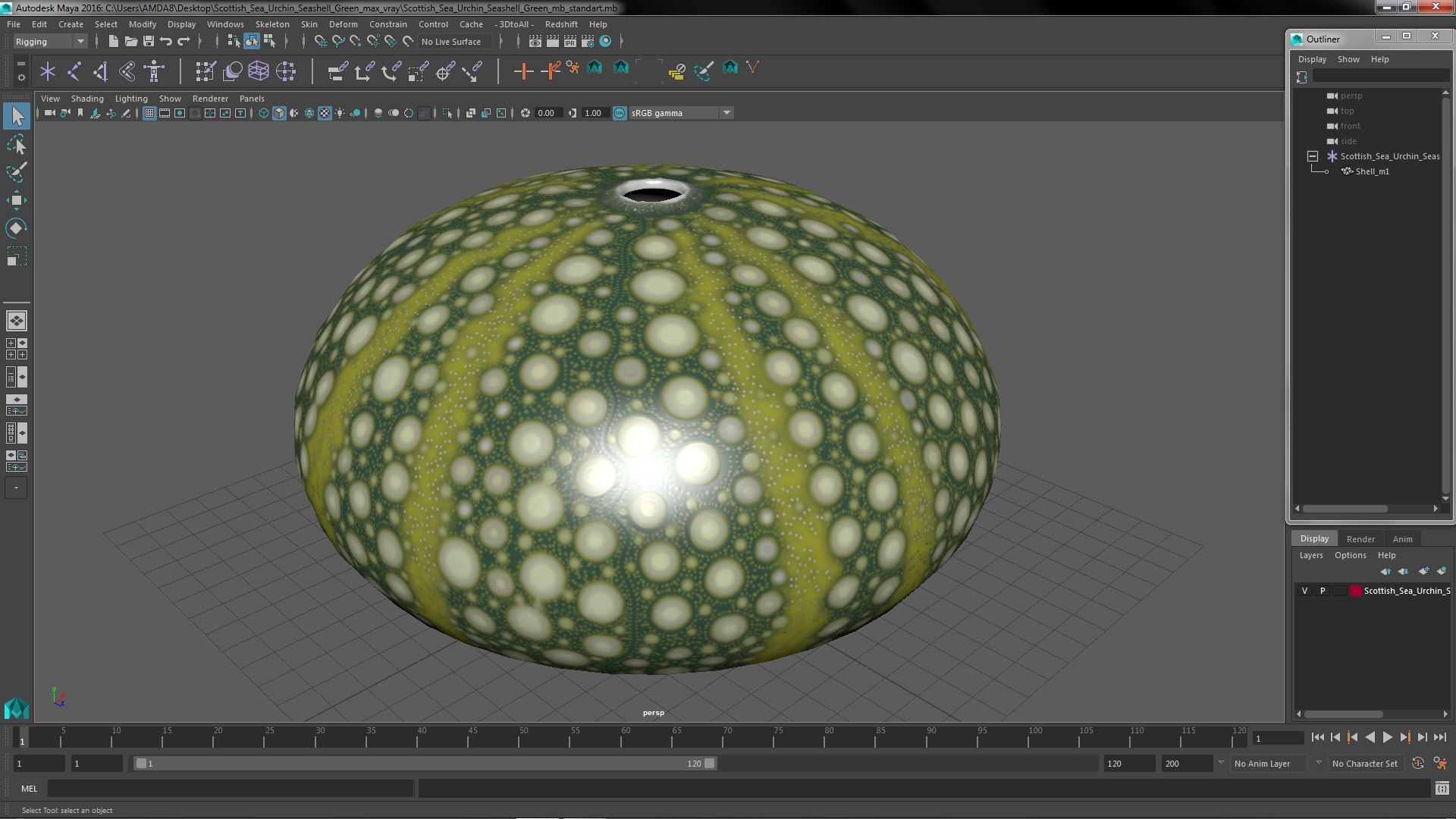 3D Scottish Sea Urchin Seashell Green model https://p.turbosquid.com/ts-thumb/9u/Q2oDm0/d7/scottishseaurchinseashellgreen3dmodel016/jpg/1692660486/1920x1080/fit_q87/236f744c894340e5bc3dbc4c95b0263948b2b882/scottishseaurchinseashellgreen3dmodel016.jpg