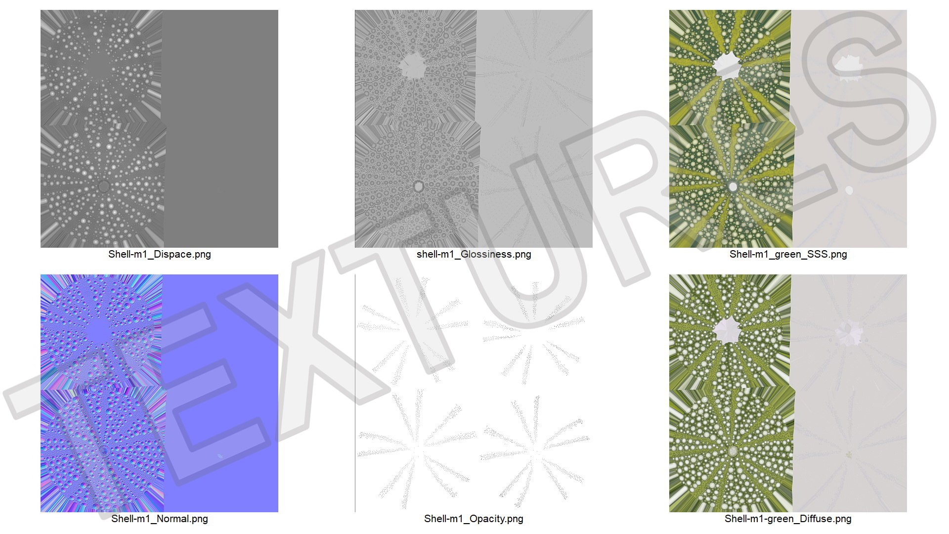 3D Scottish Sea Urchin Seashell Green model https://p.turbosquid.com/ts-thumb/9u/Q2oDm0/l0/scottishseaurchinseashellgreen3dmodel011/jpg/1692660470/1920x1080/fit_q87/dda0495c67e403b7b30b6cc24878c6bcc5072ca2/scottishseaurchinseashellgreen3dmodel011.jpg