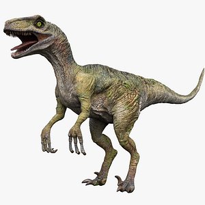 Velociraptor(Animated)(Rigged)