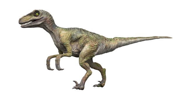 Velociraptor (rigido) Modelo 3D - TurboSquid 1128390