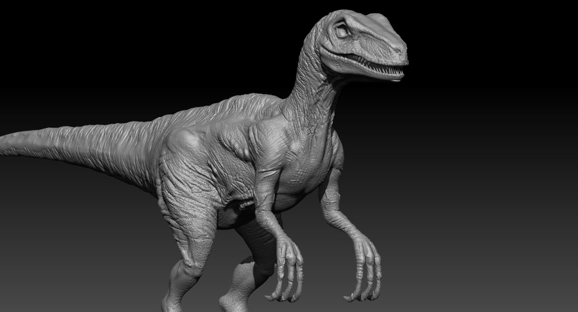 realistic raptor rigged 3d model