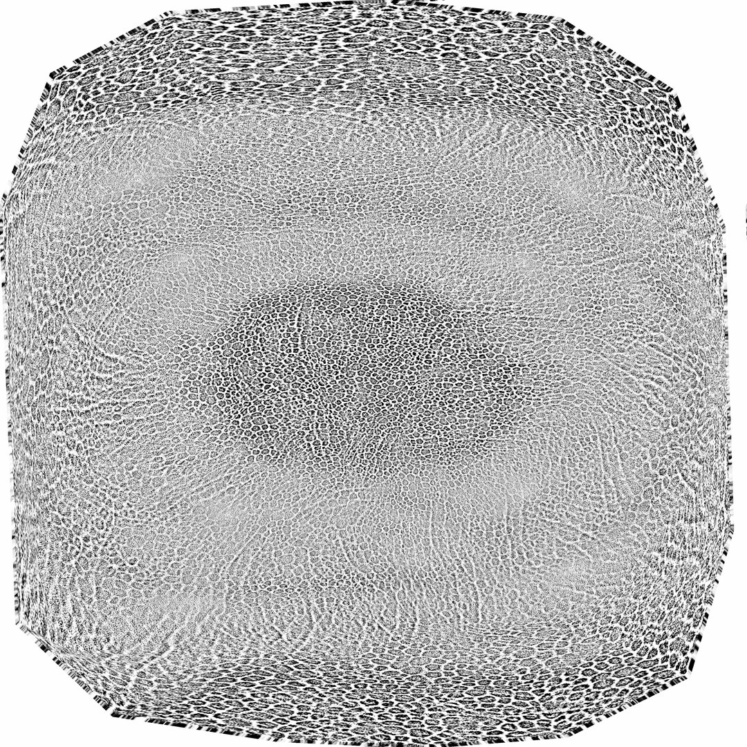 3d small blood vessel https://p.turbosquid.com/ts-thumb/9u/fuOjNv/jBG9ZiI6/erycave/jpg/1418863839/1920x1080/fit_q87/59a14da830163b86d16a6de104c6ff59047b71ac/erycave.jpg