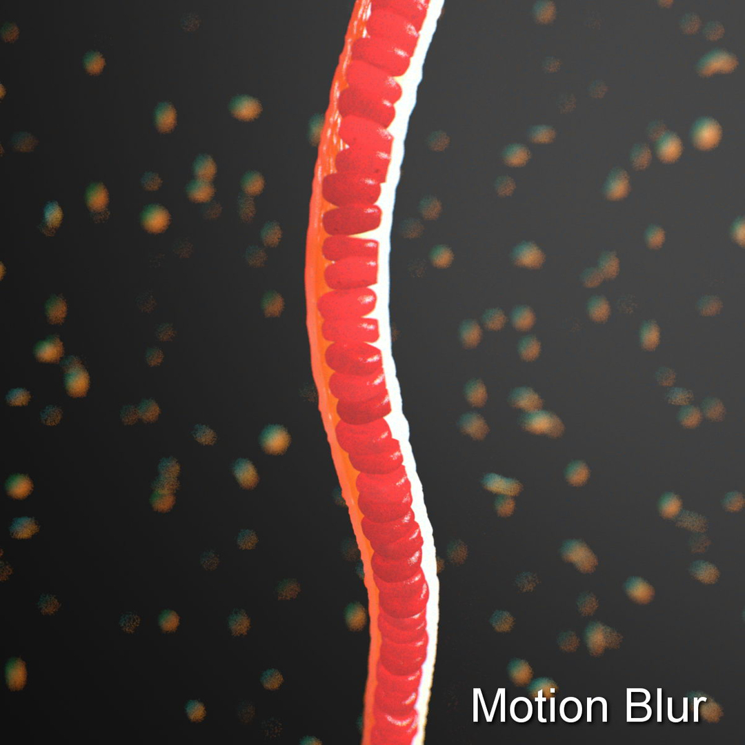 3d small blood vessel https://p.turbosquid.com/ts-thumb/9u/fuOjNv/pVPJgKdn/vesselrun02/jpg/1418863638/1920x1080/turn_fit_q99/a1765d783c3b8a578aaa0f5e5857c0a6b1b70ff5/vesselrun02-1.jpg