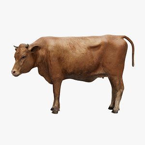 Cow NoFur Rigged 3D
