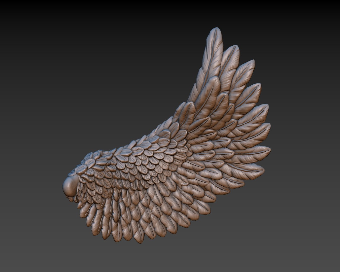 3D wings printing https://p.turbosquid.com/ts-thumb/9u/uEERlp/3gCt93v6/1/jpg/1491994878/1920x1080/fit_q87/e303ee5dd642c8e49913d6b397526a85ef1cf96b/1.jpg