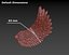 3D wings printing