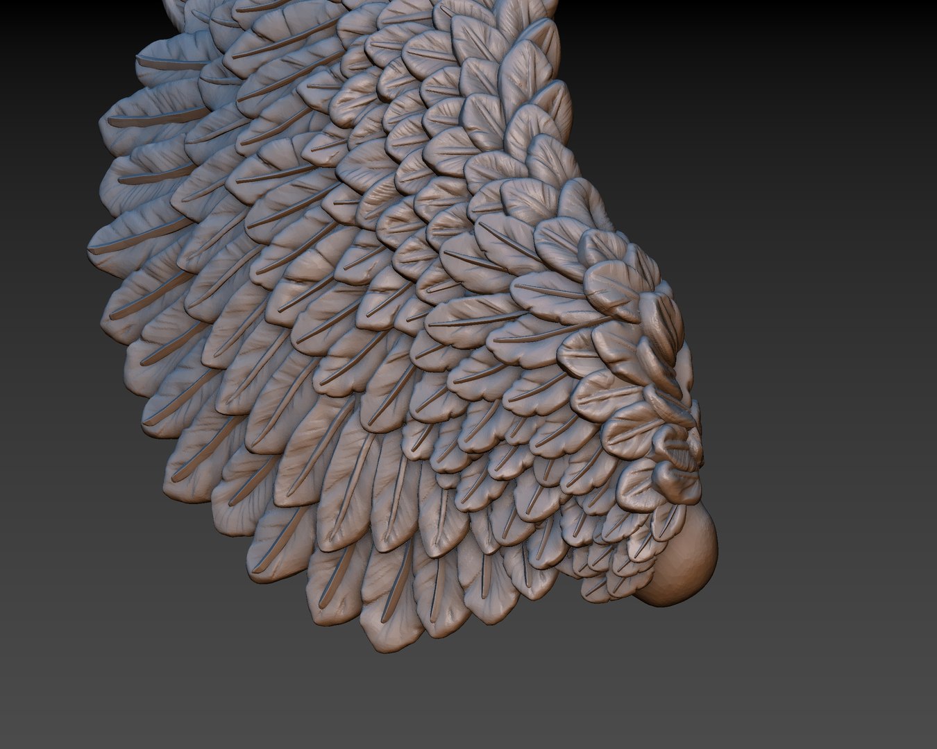 3D wings printing https://p.turbosquid.com/ts-thumb/9u/uEERlp/8pCYUEns/53/jpg/1491994878/1920x1080/fit_q87/64732a3206e86ab4a600c69633161cfc11040e5c/53.jpg