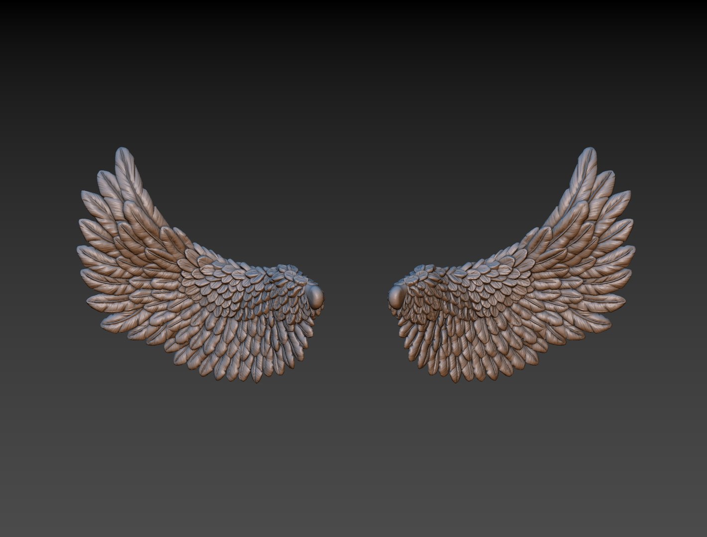 3D wings printing https://p.turbosquid.com/ts-thumb/9u/uEERlp/NAHFZyIi/7/jpg/1491994879/1920x1080/fit_q87/5cc38a14ccf641c4f2724b0dfd48769670b08bdf/7.jpg
