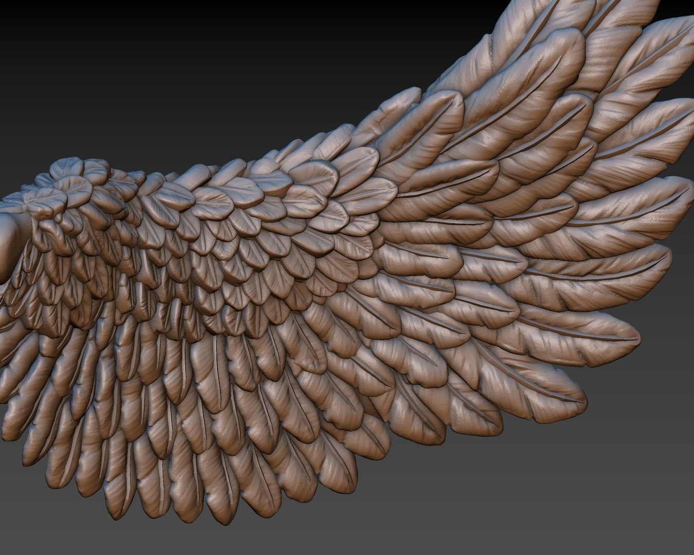 3D wings printing https://p.turbosquid.com/ts-thumb/9u/uEERlp/QlAiu2tq/51/jpg/1491994878/1920x1080/fit_q87/4e185de77e1d8792f6d1acb4d26430d834779ad7/51.jpg